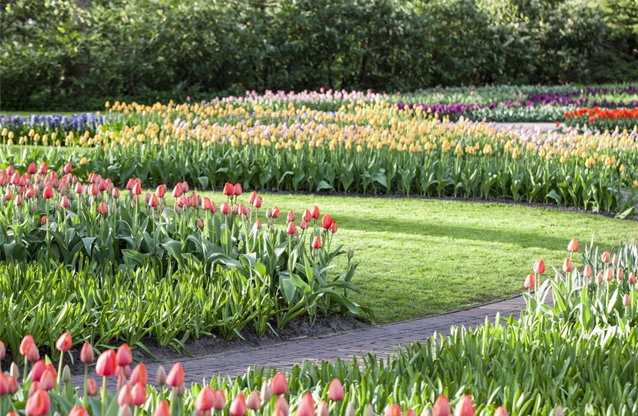 Gartenräume optimal gestalten