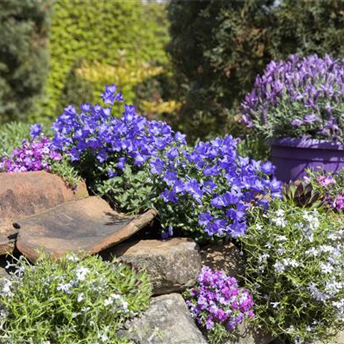 Gartenarbeiten im Mai