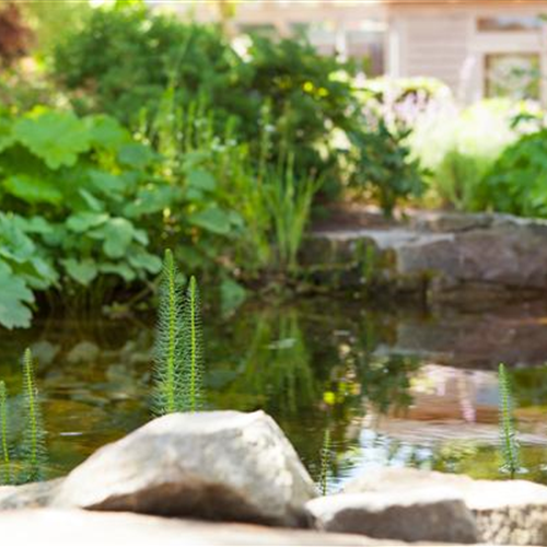 Sitzgelegenheit, Wasserfall oder Dekoelement