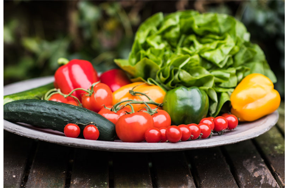 Grillsalat aus dem eigenen Garten!