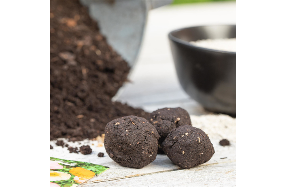 Erste Schritte in Richtung Gemüsegarten